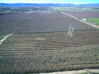 Vacaville, California Land and Orchards for Sale - image 7