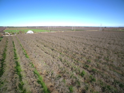 Vacaville, California Land and Orchards for Sale - image 8