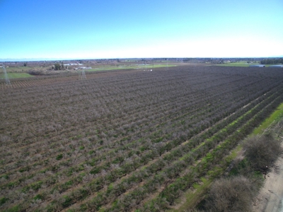 Vacaville, California Land and Orchards for Sale - image 2