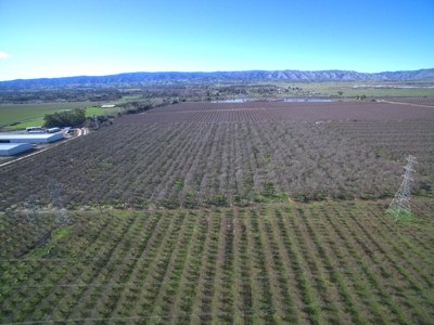 Vacaville, California Land and Orchards for Sale - image 5