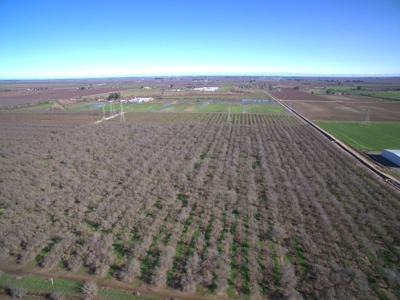 Vacaville, California Land and Orchards for Sale - image 10