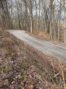 Accepted Offer near Wolf River Marina in Albany, KY - image 6
