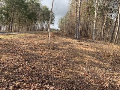 Accepted Offer near Wolf River Marina in Albany, KY - image 14