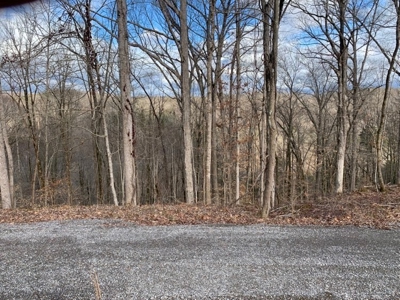 Accepted Offer near Wolf River Marina in Albany, KY - image 7