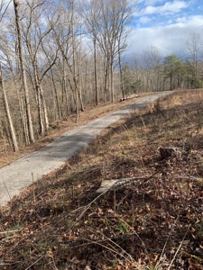 Accepted Offer near Wolf River Marina in Albany, KY - image 13
