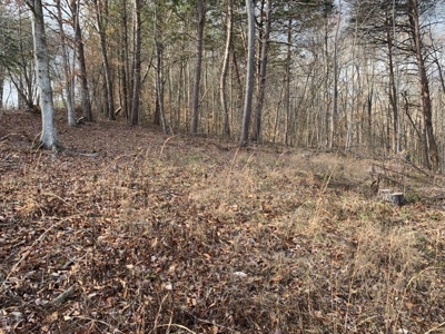 Accepted Offer near Wolf River Marina in Albany, KY - image 10