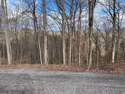 Accepted Offer near Wolf River Marina in Albany, KY - image 8