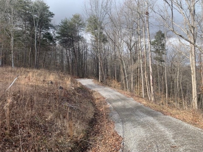 Accepted Offer near Wolf River Marina in Albany, KY - image 16