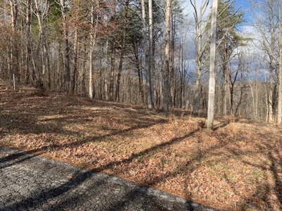 Accepted Offer near Wolf River Marina in Albany, KY - image 2