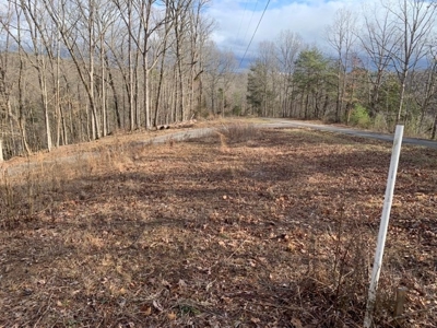 Accepted Offer near Wolf River Marina in Albany, KY - image 4