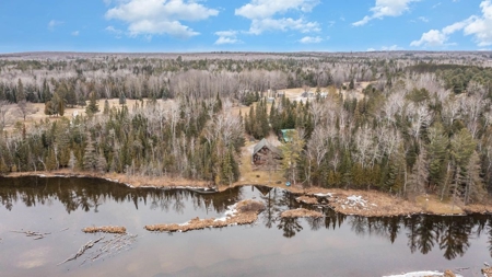 Log Home for sale Black River in Onaway MI - image 2