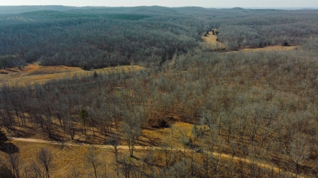 Home And Live Water Bordering National Forest Doniphan, Mo - image 40