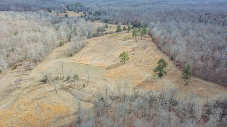 Home And Live Water Bordering National Forest Doniphan, Mo - image 7