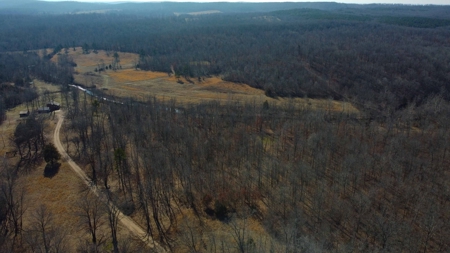 Home And Live Water Bordering National Forest Doniphan, Mo - image 39
