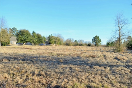 1.5 Acre Lot for Sale in Retirement Community Southwest MS - image 3