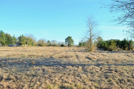 1.5 Acre Lot for Sale in Retirement Community Southwest MS - image 2