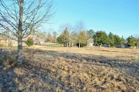 1.5 Acre Lot for Sale in Retirement Community Southwest MS - image 1