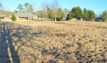 1.5 Acre Lot for Sale in Retirement Community Southwest MS - image 4