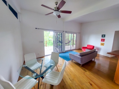 Newer Construction Home on Small Private Island, Panama - image 21