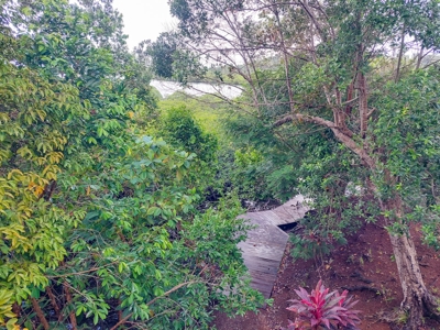 Newer Construction Home on Small Private Island, Panama - image 26