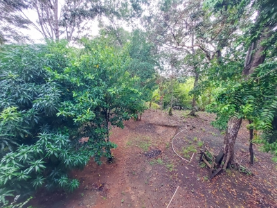Newer Construction Home on Small Private Island, Panama - image 25