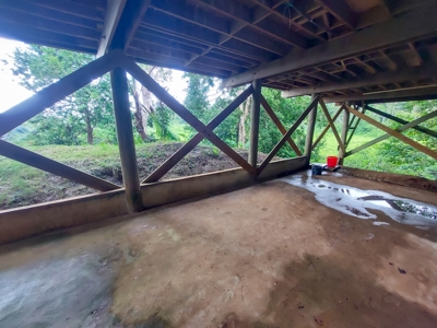 Newer Construction Home on Small Private Island, Panama - image 8