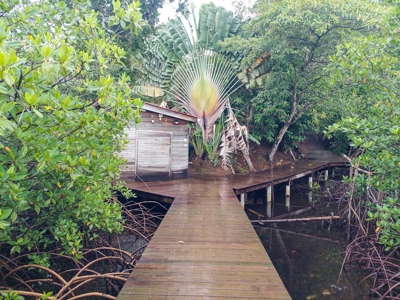 Newer Construction Home on Small Private Island, Panama - image 1