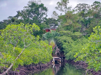 Newer Construction Home on Small Private Island, Panama - image 40