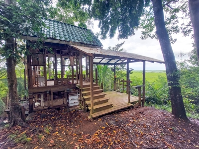 Newer Construction Home on Small Private Island, Panama - image 30