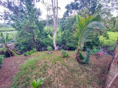 Newer Construction Home on Small Private Island, Panama - image 29