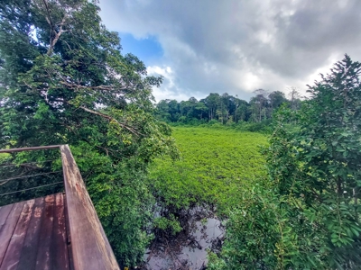Newer Construction Home on Small Private Island, Panama - image 10