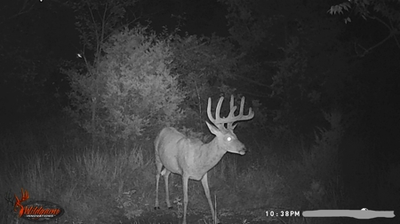 Home With Hunting Land For Sale La Cygne, KS - image 24