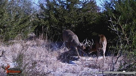 Home With Hunting Land For Sale La Cygne, KS - image 26