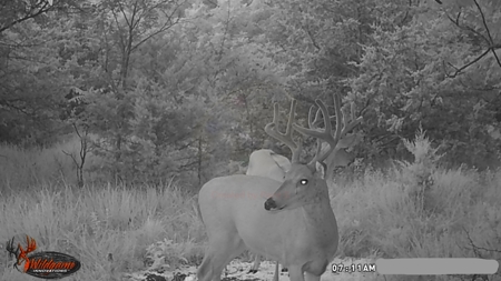 Home With Hunting Land For Sale La Cygne, KS - image 22
