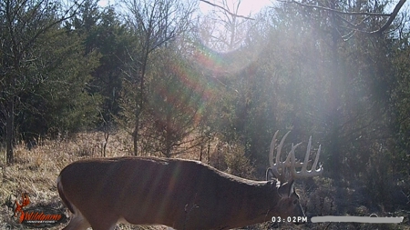 Home With Hunting Land For Sale La Cygne, KS - image 25