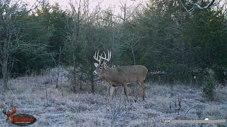 Home With Hunting Land For Sale La Cygne, KS - image 27