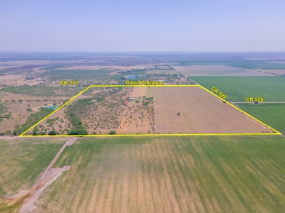 All Around Ranch Property in Bee County, Texas - image 5