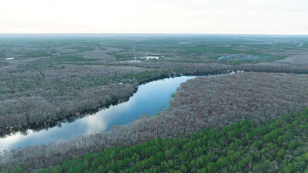 5 Acres On The Suwannee River For Sale! Old Town Florida! - image 18