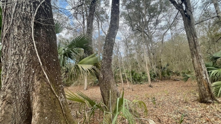 5 Acres On The Suwannee River For Sale! Old Town Florida! - image 2