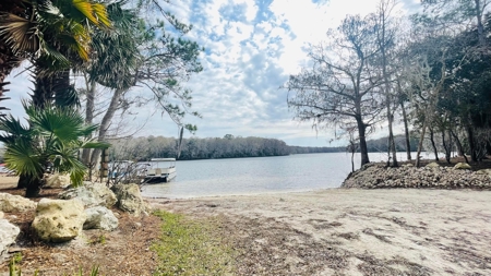 5 Acres On The Suwannee River For Sale! Old Town Florida! - image 16