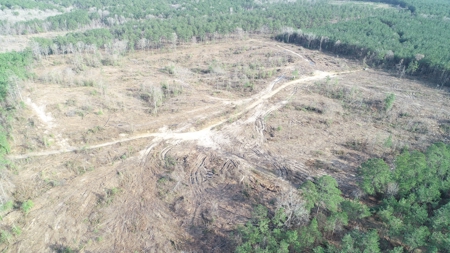 Cleared /Open Woodland in Ouachita County, Arkansas for Sale - image 3