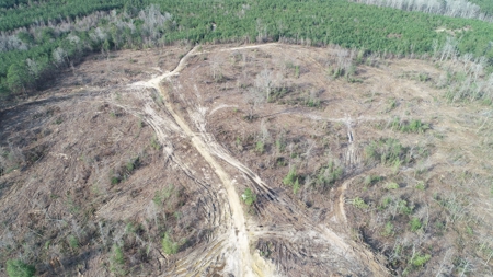 Cleared /Open Woodland in Ouachita County, Arkansas for Sale - image 1