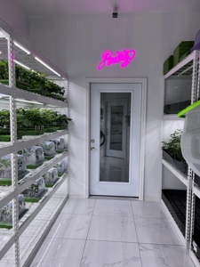 Home / Cannabis Grow For Sale - image 6