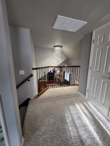 Home / Cannabis Grow For Sale - image 46