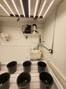 Home / Cannabis Grow For Sale - image 13