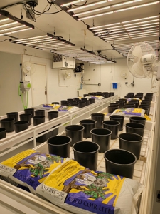 Home / Cannabis Grow For Sale - image 10