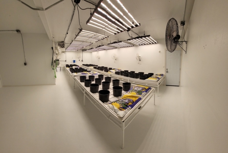 Home / Cannabis Grow For Sale - image 11