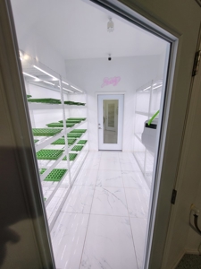 Home / Cannabis Grow For Sale - image 22