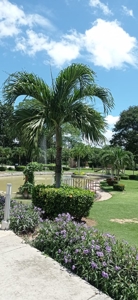 Oceanfront Condo for sale in PH Bahia Resort - image 22