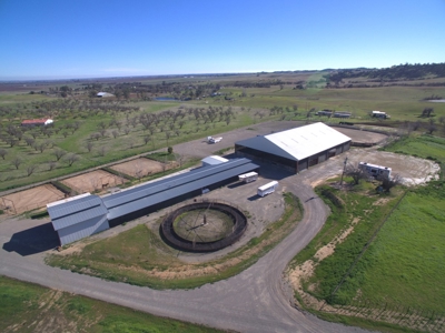 Equestrian Ranch with Country Home for Sale in Yolo County - image 6